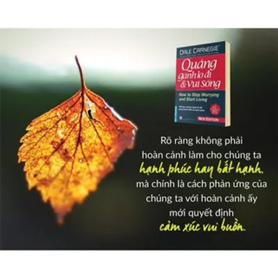 Quẳng Gánh Lo Đi Và Vui Sống — ảnh 7